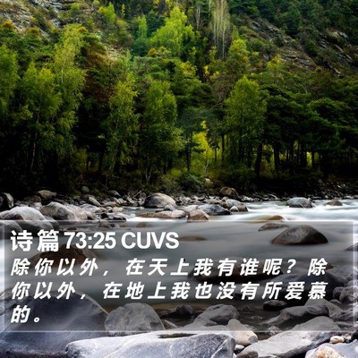 诗 篇 73:25 CUVS Bible Verse Image