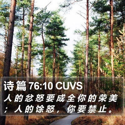 诗 篇 76:10 CUVS Bible Verse Image