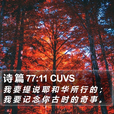 诗 篇 77:11 CUVS Bible Verse Image