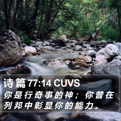 诗 篇 77:14 CUVS Bible Verse Image