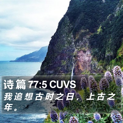 诗 篇 77:5 CUVS Bible Verse Image
