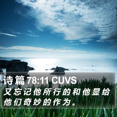 诗 篇 78:11 CUVS Bible Verse Image