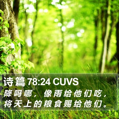 诗 篇 78:24 CUVS Bible Verse Image