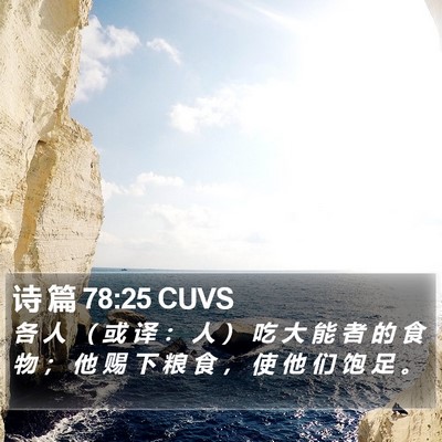 诗 篇 78:25 CUVS Bible Verse Image