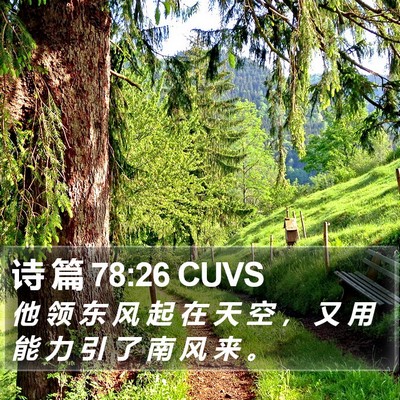 诗 篇 78:26 CUVS Bible Verse Image