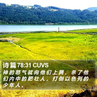 诗 篇 78:31 CUVS Bible Verse Image