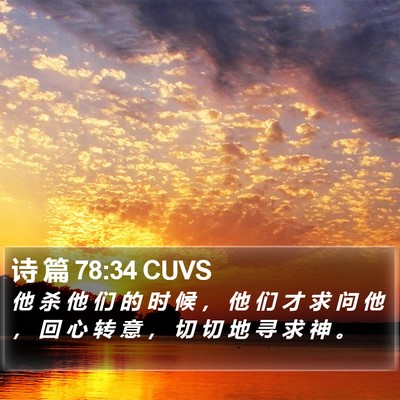 诗 篇 78:34 CUVS Bible Verse Image