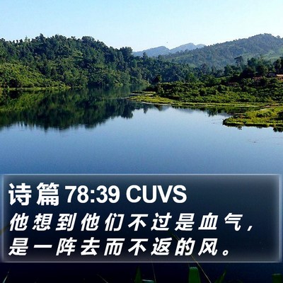 诗 篇 78:39 CUVS Bible Verse Image