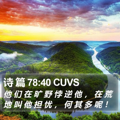 诗 篇 78:40 CUVS Bible Verse Image