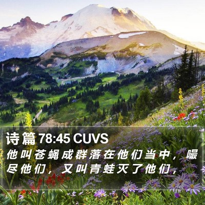 诗 篇 78:45 CUVS Bible Verse Image