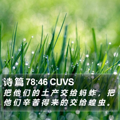 诗 篇 78:46 CUVS Bible Verse Image