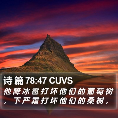 诗 篇 78:47 CUVS Bible Verse Image
