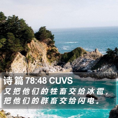 诗 篇 78:48 CUVS Bible Verse Image