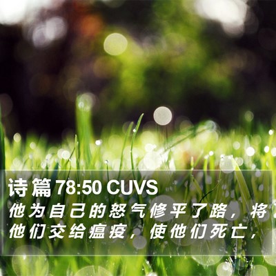 诗 篇 78:50 CUVS Bible Verse Image