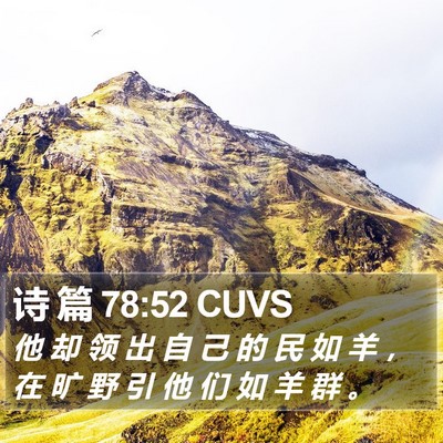 诗 篇 78:52 CUVS Bible Verse Image