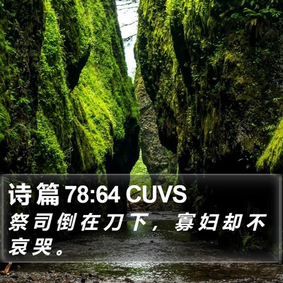 诗 篇 78:64 CUVS Bible Verse Image