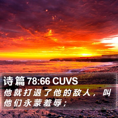 诗 篇 78:66 CUVS Bible Verse Image