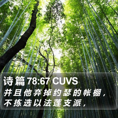 诗 篇 78:67 CUVS Bible Verse Image