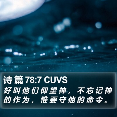 诗 篇 78:7 CUVS Bible Verse Image