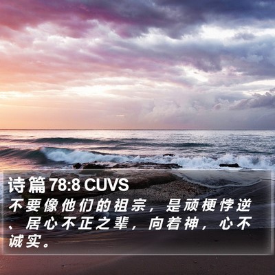 诗 篇 78:8 CUVS Bible Verse Image