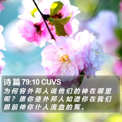 诗 篇 79:10 CUVS Bible Verse Image