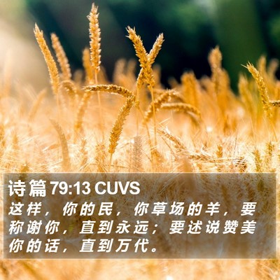 诗 篇 79:13 CUVS Bible Verse Image