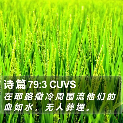 诗 篇 79:3 CUVS Bible Verse Image