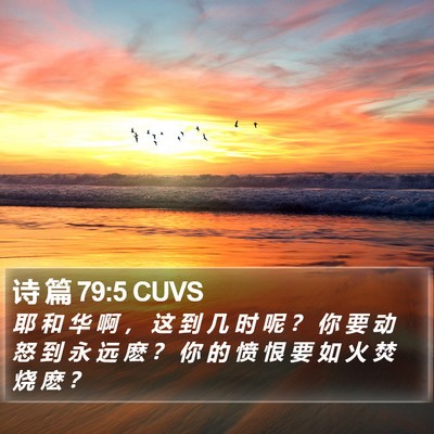 诗 篇 79:5 CUVS Bible Verse Image