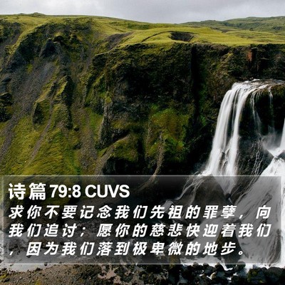诗 篇 79:8 CUVS Bible Verse Image