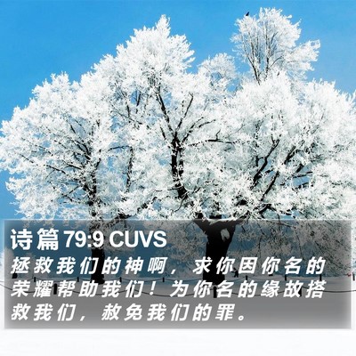 诗 篇 79:9 CUVS Bible Verse Image