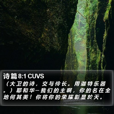 诗 篇 8:1 CUVS Bible Verse Image