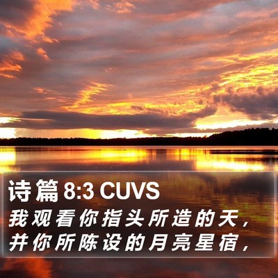诗 篇 8:3 CUVS Bible Verse Image
