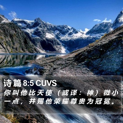诗 篇 8:5 CUVS Bible Verse Image