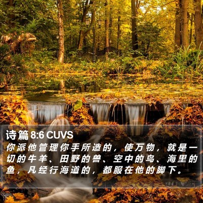 诗 篇 8:6 CUVS Bible Verse Image