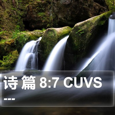 诗 篇 8:7 CUVS Bible Verse Image