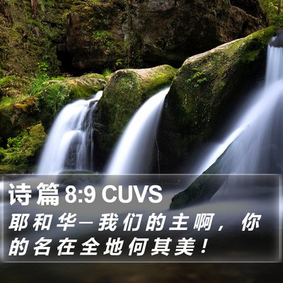 诗 篇 8:9 CUVS Bible Verse Image