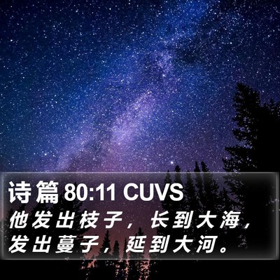 诗 篇 80:11 CUVS Bible Verse Image