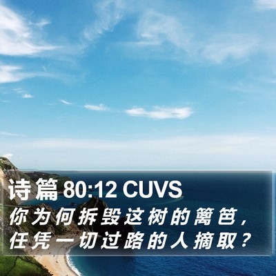诗 篇 80:12 CUVS Bible Verse Image