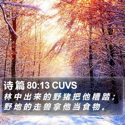 诗 篇 80:13 CUVS Bible Verse Image