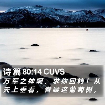诗 篇 80:14 CUVS Bible Verse Image