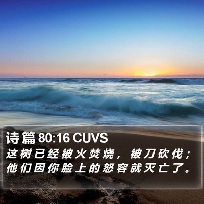 诗 篇 80:16 CUVS Bible Verse Image