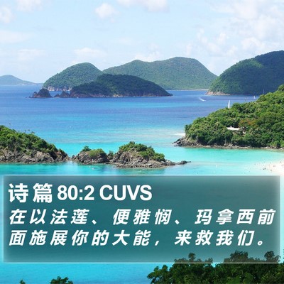 诗 篇 80:2 CUVS Bible Verse Image