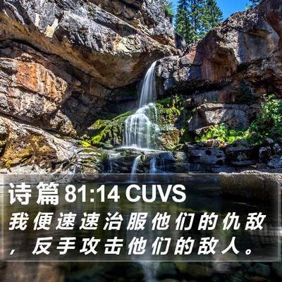 诗 篇 81:14 CUVS Bible Verse Image