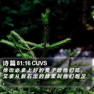 诗 篇 81:16 CUVS Bible Verse Image