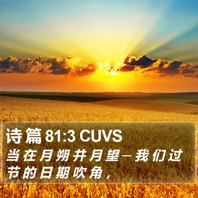 诗 篇 81:3 CUVS Bible Verse Image