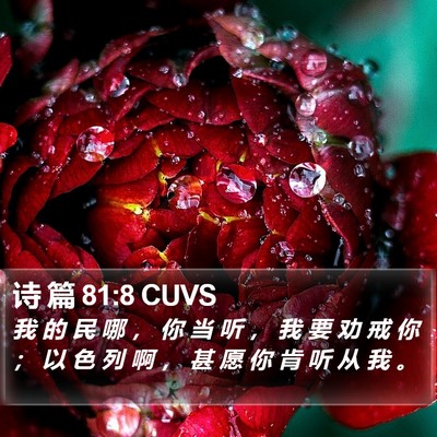 诗 篇 81:8 CUVS Bible Verse Image