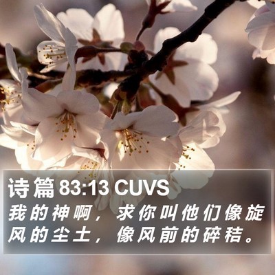 诗 篇 83:13 CUVS Bible Verse Image