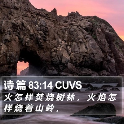 诗 篇 83:14 CUVS Bible Verse Image