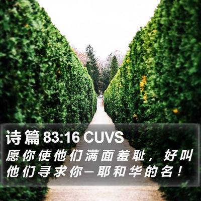 诗 篇 83:16 CUVS Bible Verse Image