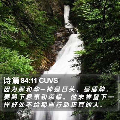 诗 篇 84:11 CUVS Bible Verse Image